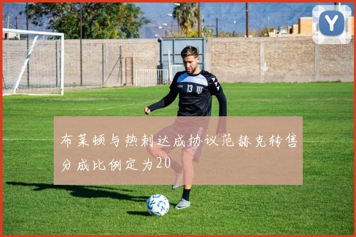 布莱顿与热刺达成协议范赫克转售分成比例定为20