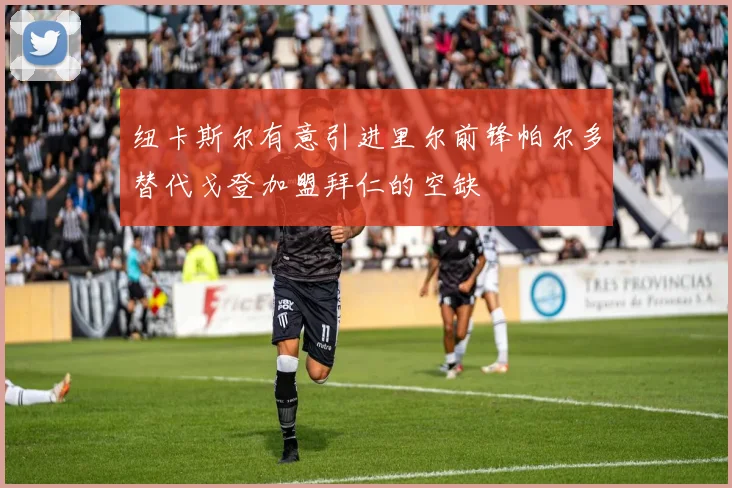 纽卡斯尔有意引进里尔前锋帕尔多替代戈登加盟拜仁的空缺